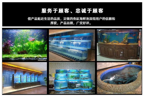 海鮮池定制推薦 欣璽匯專業(yè)圖文設計制作服務